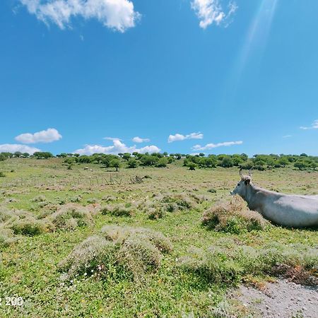 Vila Aminth Relax Tra Mare E Colline Santa Marinella Exteriér fotografie
