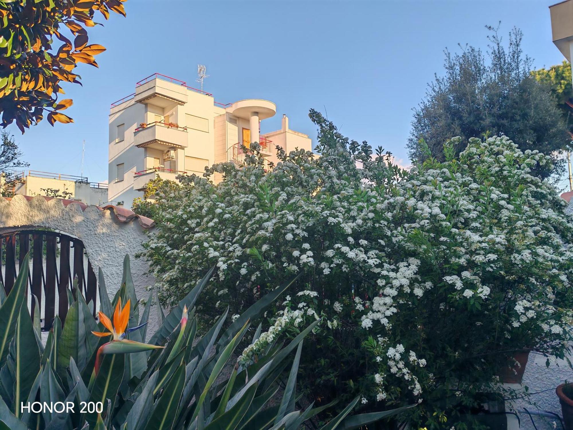 Vila Aminth Relax Tra Mare E Colline Santa Marinella Exteriér fotografie