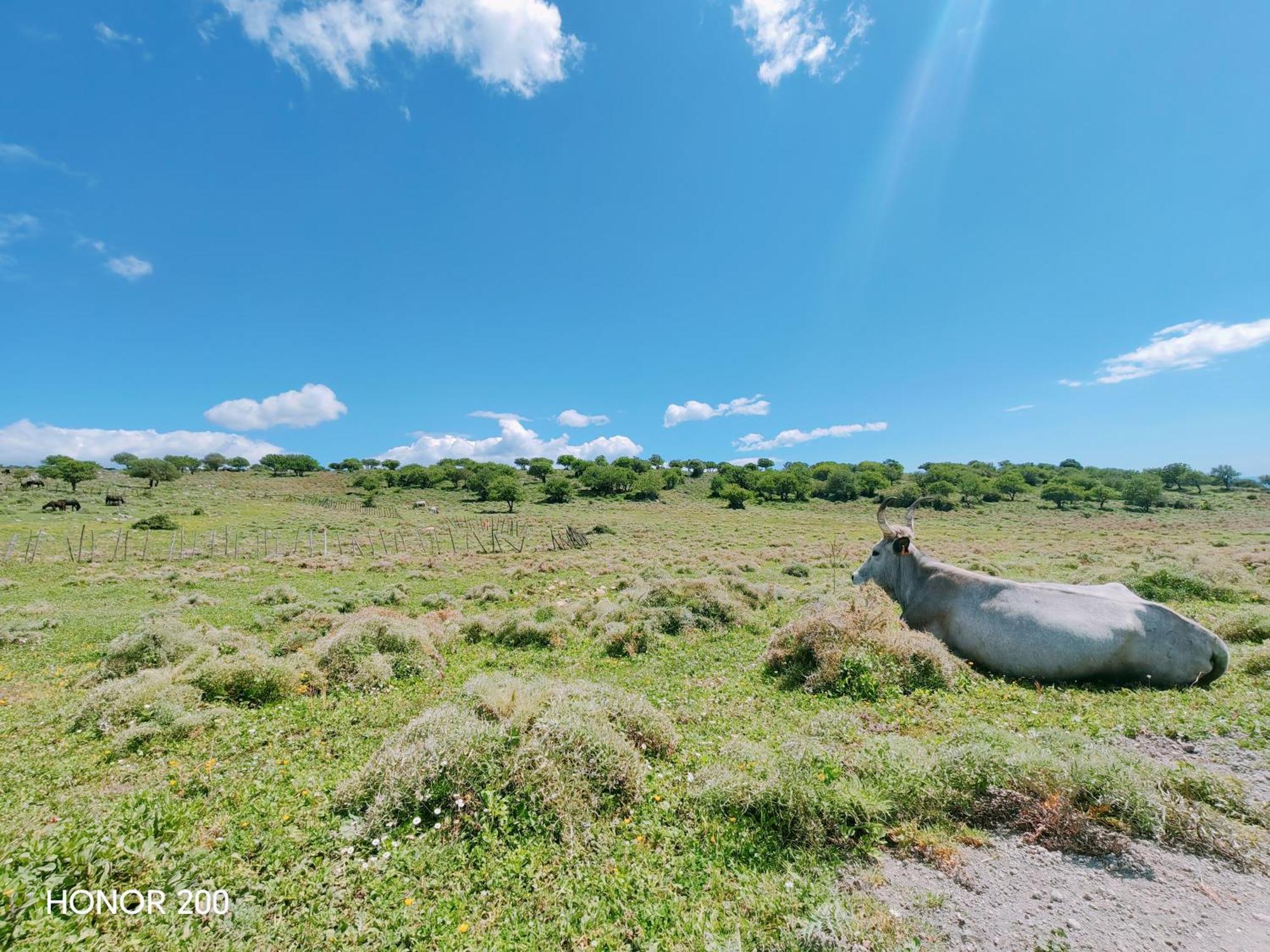 Vila Aminth Relax Tra Mare E Colline Santa Marinella Exteriér fotografie